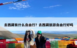 去西藏有什么自由行？去西藏旅游自由行好吗