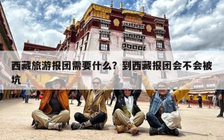 西藏旅游报团需要什么？到西藏报团会不会被坑