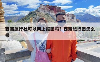 西藏旅行社可以网上报团吗？西藏旅行团怎么报