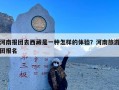 河南报团去西藏是一种怎样的体验？河南旅游团报名