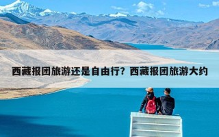 西藏报团旅游还是自由行？西藏报团旅游大约