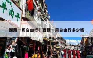 西藏一周自由行？西藏一周自由行多少钱